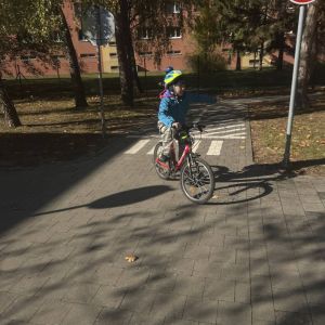 IMG_5069